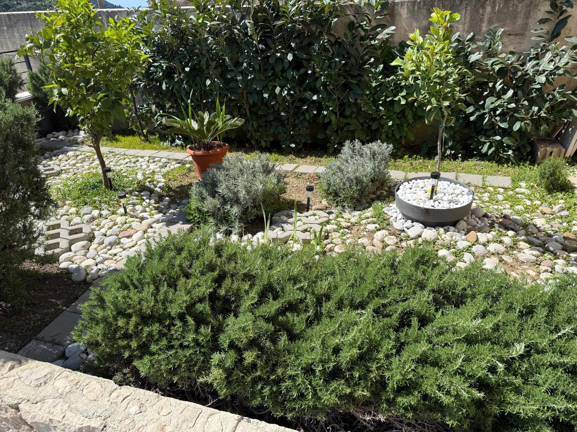 Lemon Tree Dubrovnik Apartments Exterior foto