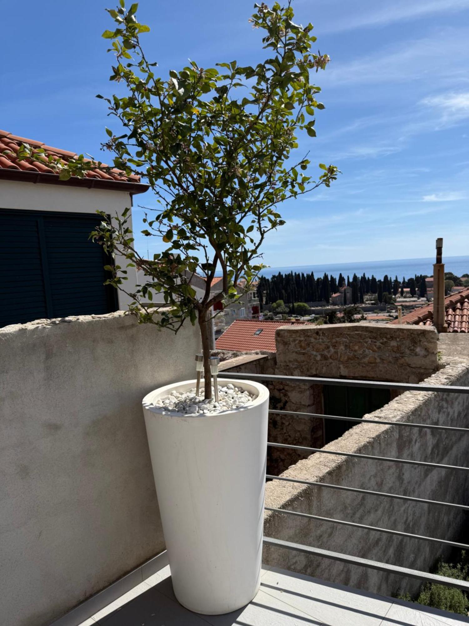 Lemon Tree Dubrovnik Apartments Exterior foto